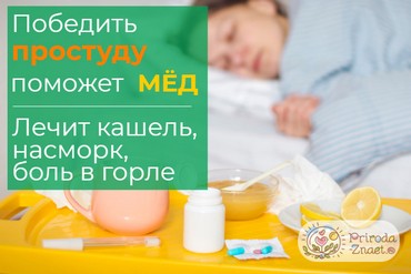 Мед от простуды