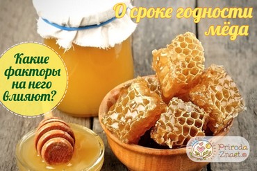 Срок годности меда