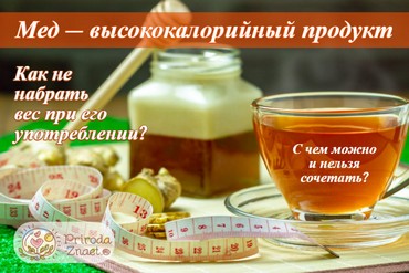 Толстеют ли от меда