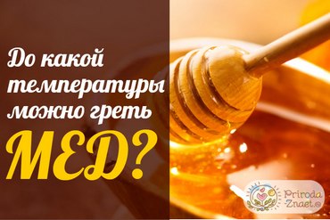 Можно ли греть мед