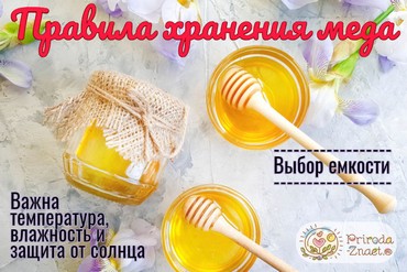 Как хранить мед