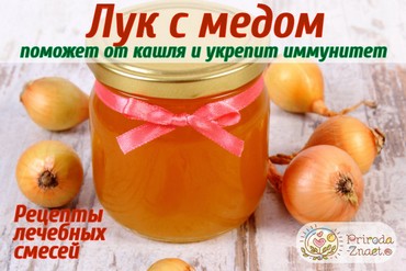 Лук с медом от кашля