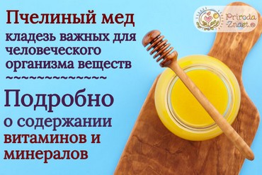 Пищевая ценность меда