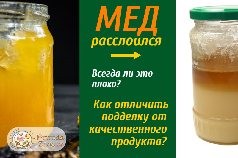 Однородность против слоистости: почему при хранении в банке мед может разделиться на два слоя?