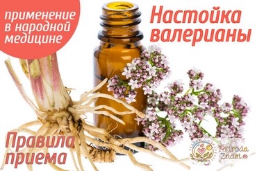 Настойка валерианы