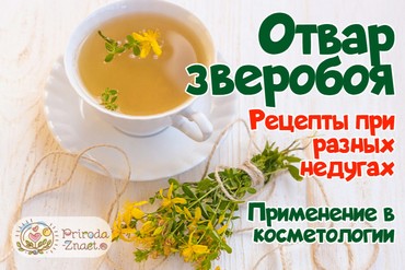 Отвар зверобоя