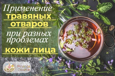 Отвары трав для лица