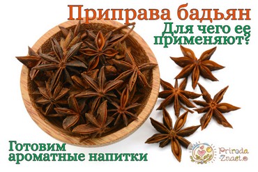 Полезные свойства бадьяна