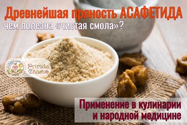 Полезные свойства и противопоказания асафетиды