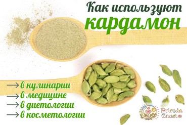 Применение кардамона