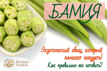 Бамия