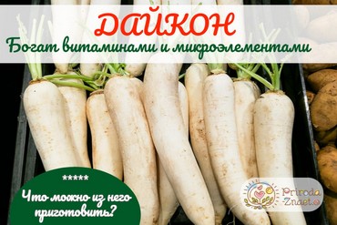 Полезные свойства и противопоказания дайкона