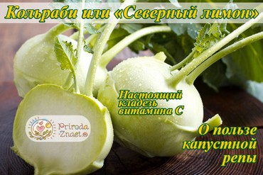 Кольраби
