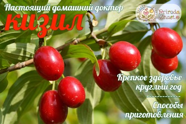 Кизил