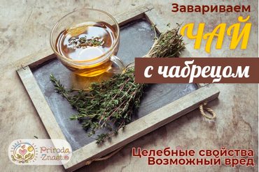 Чай с чабрецом