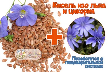 Семя и цветы льна