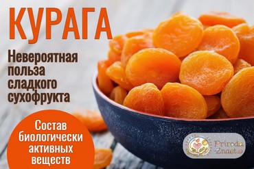 Полезные свойства кураги