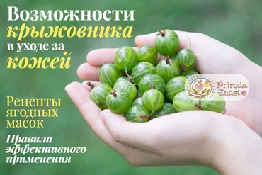 Крыжовник для лица