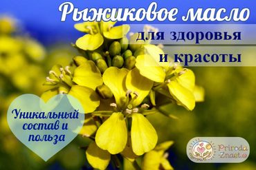 Ложный лен (рыжик)