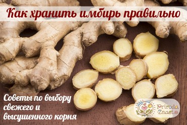 Как сохранить имбирь