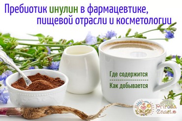 Инулин