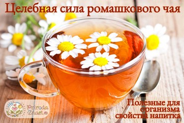 Ромашковый чай