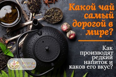 Самый дорогой чай
