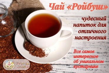 Чай «Ройбуш»