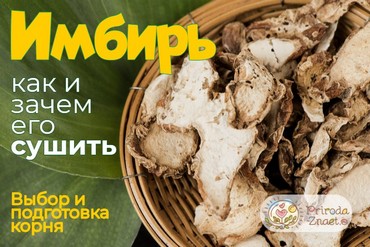 Как сушить имбирь в домашних условиях