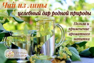 Чай с липой