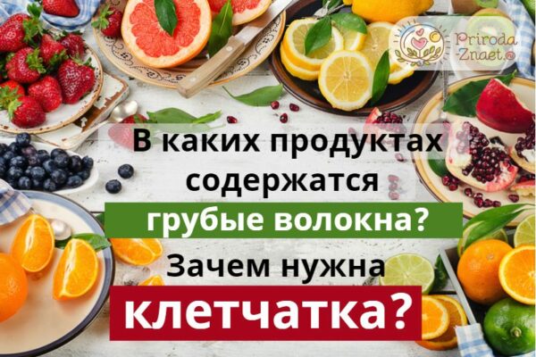 Клеточное питание картинки