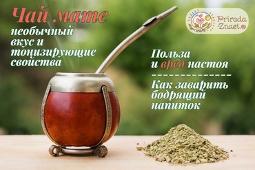 Чай мате