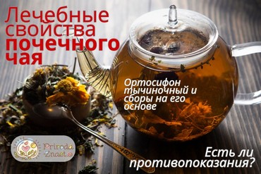 Почечный чай