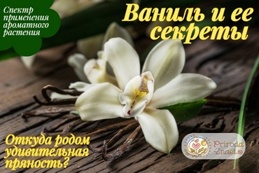 Ваниль