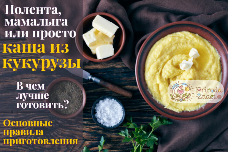 Кукурузная каша мамалыга калорийность