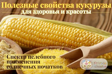 Кукуруза