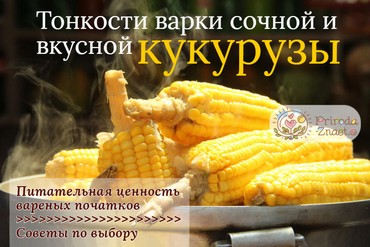 Как варить кукурузу