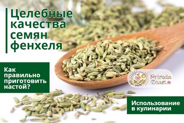 Семена фенхеля
