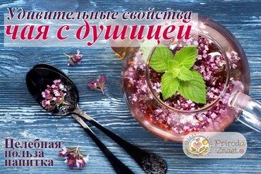 Чай с душицей