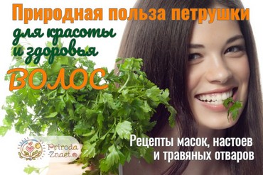 Петрушка для волос