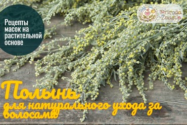 Полынь для волос