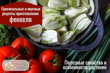 Рецепты приготовления фенхеля