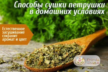 Сушка петрушки