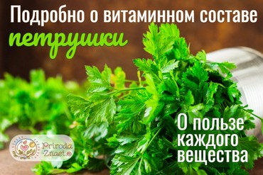 Витамины в петрушке