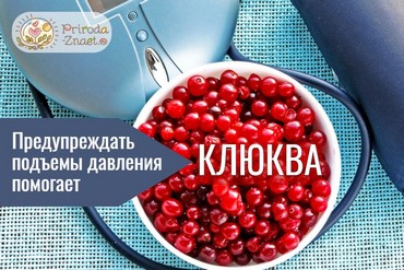 Клюква понижает или повышает давление