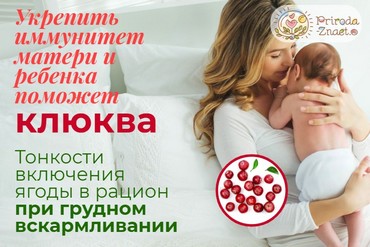 Клюква при грудном вскармливании