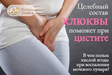 Клюква при цистите
