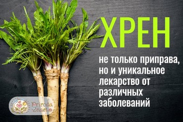 Хрен: полезные свойства