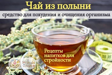 Полынь для похудения