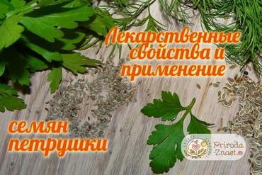 Семена петрушки